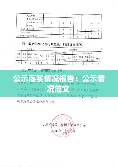 公示落实情况报告：公示情况范文 