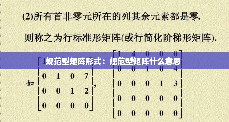 规范型矩阵形式：规范型矩阵什么意思 