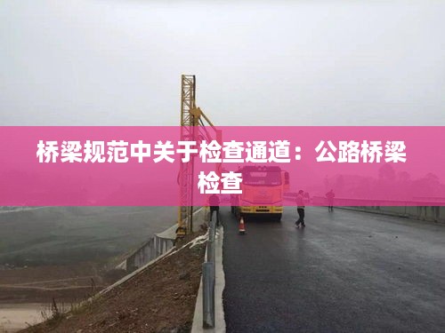 桥梁规范中关于检查通道：公路桥梁检查 