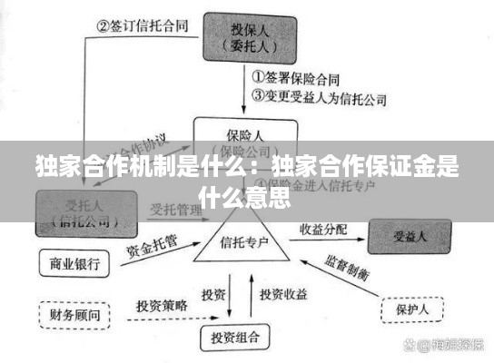 独家合作机制是什么：独家合作保证金是什么意思 