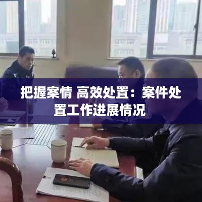 把握案情 高效处置：案件处置工作进展情况 