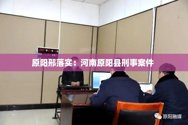 原阳邢落实：河南原阳县刑事案件 