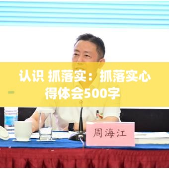 认识 抓落实：抓落实心得体会500字 