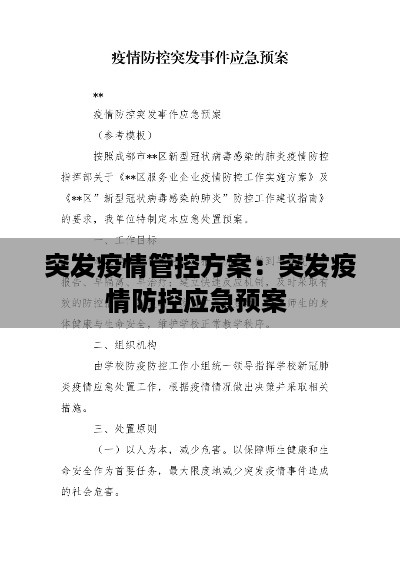 突发疫情管控方案：突发疫情防控应急预案 