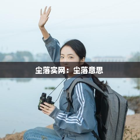 尘落实网：尘落意思 