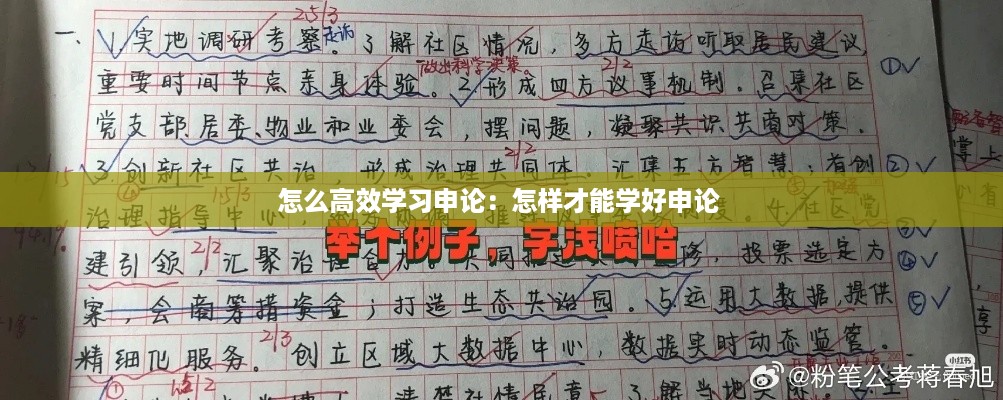 怎么高效学习申论：怎样才能学好申论 