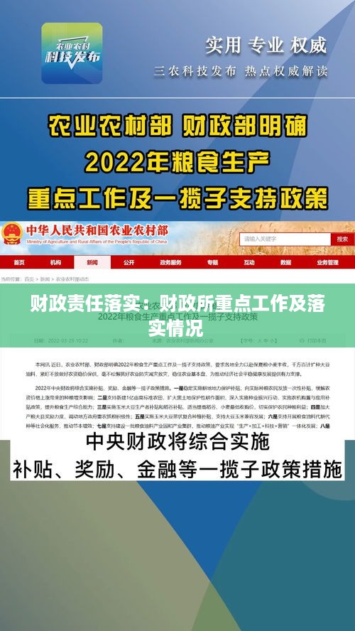 财政责任落实：财政所重点工作及落实情况 