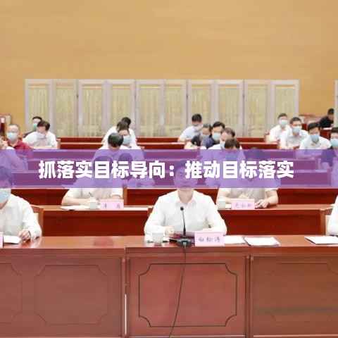 抓落实目标导向：推动目标落实 