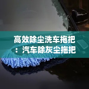 高效除尘洗车拖把：汽车除灰尘拖把哪种好 