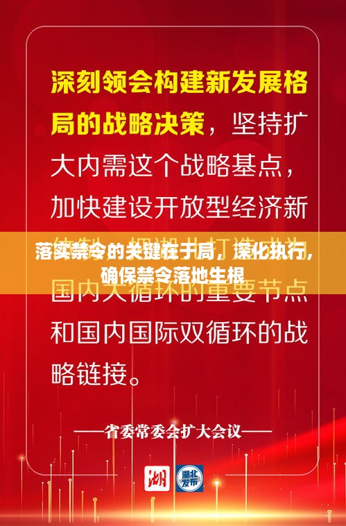 落实禁令的关键在于局，深化执行，确保禁令落地生根