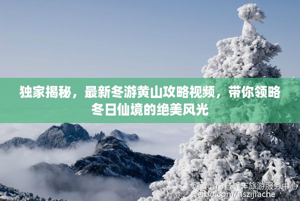 独家揭秘，最新冬游黄山攻略视频，带你领略冬日仙境的绝美风光