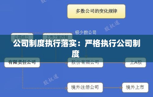 公司制度执行落实：严格执行公司制度 