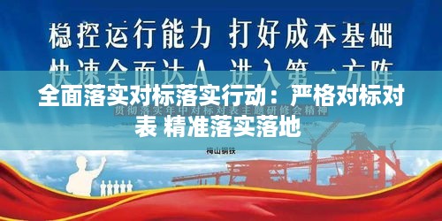 全面落实对标落实行动：严格对标对表 精准落实落地 