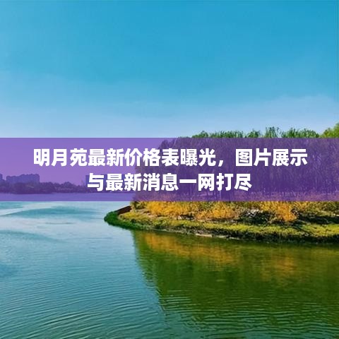 明月苑最新价格表曝光，图片展示与最新消息一网打尽