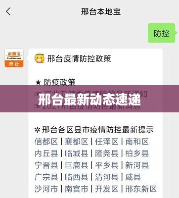 邢台最新动态速递