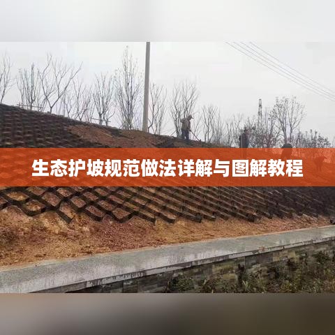 生态护坡规范做法详解与图解教程