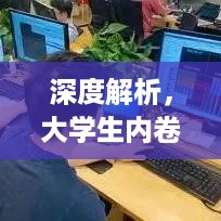 深度解析，大学生内卷现象的真相与反思