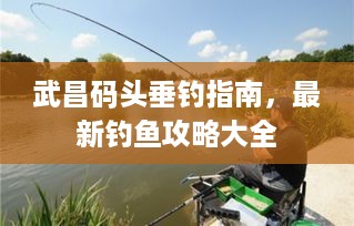 武昌码头垂钓指南，最新钓鱼攻略大全