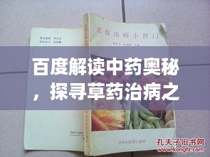 百度解读中药奥秘，探寻草药治病之秘诀