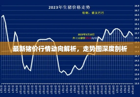 最新猪价行情动向解析，走势图深度剖析