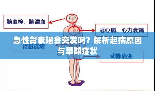 急性肾衰竭会突发吗？解析起病原因与早期症状