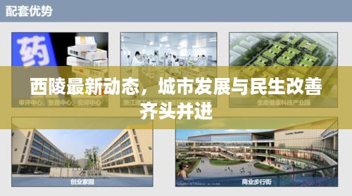 西陵最新动态，城市发展与民生改善齐头并进