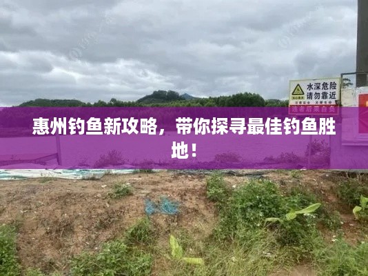 惠州钓鱼新攻略，带你探寻最佳钓鱼胜地！