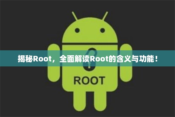 揭秘Root，全面解读Root的含义与功能！