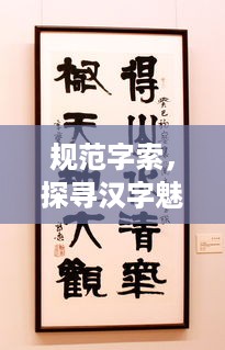 规范字索，探寻汉字魅力，传承文化精粹