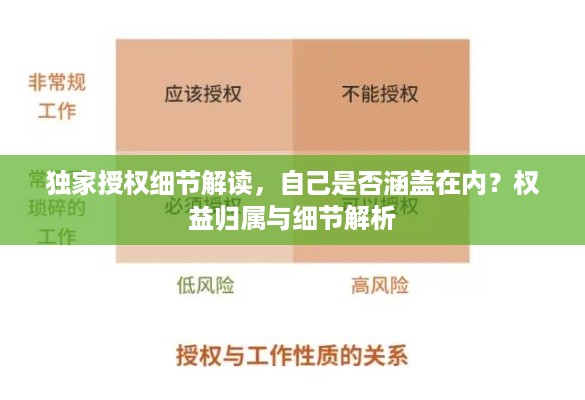 独家授权细节解读，自己是否涵盖在内？权益归属与细节解析