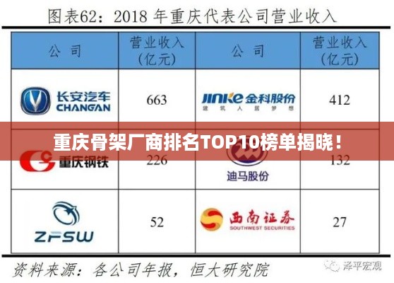 重庆骨架厂商排名TOP10榜单揭晓！