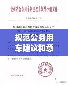 规范公务用车建议和意见：公务用车的建议 