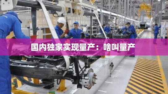 国内独家实现量产：啥叫量产 