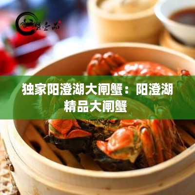 独家阳澄湖大闸蟹：阳澄湖精品大闸蟹 