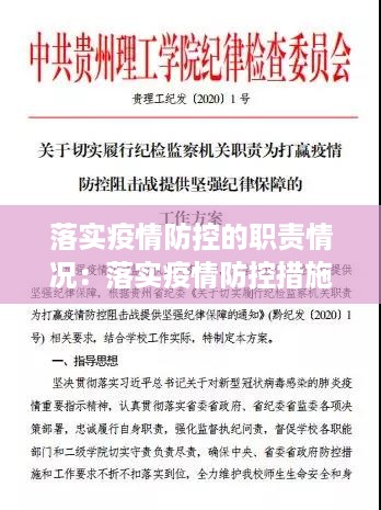 落实疫情防控的职责情况：落实疫情防控措施情况 