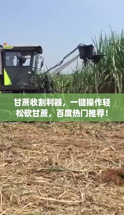 甘蔗收割利器，一键操作轻松砍甘蔗，百度热门推荐！