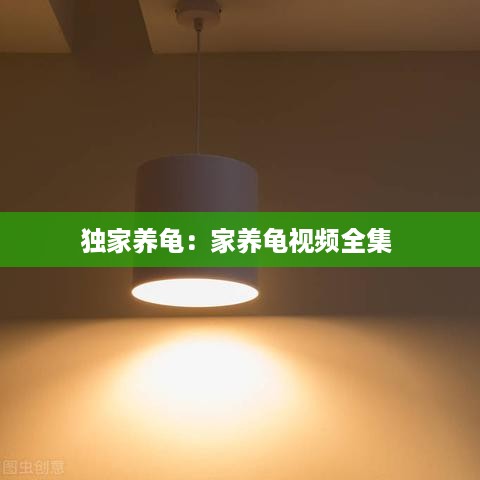 独家养龟：家养龟视频全集 