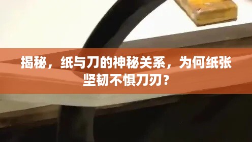 揭秘，纸与刀的神秘关系，为何纸张坚韧不惧刀刃？