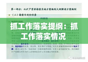 抓工作落实提纲：抓工作落实情况 