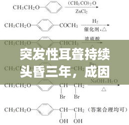 突发性耳聋持续头昏三年，成因解析、诊断及治疗方案总览