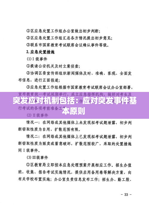 突发应对机制包括：应对突发事件基本原则 