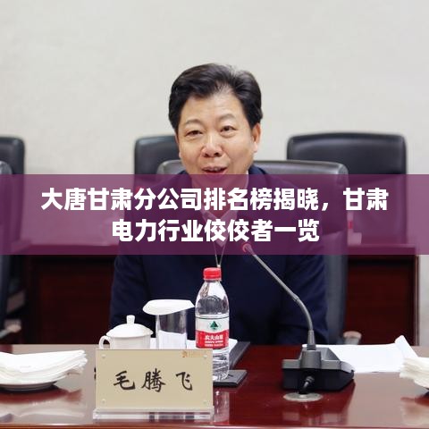 大唐甘肃分公司排名榜揭晓，甘肃电力行业佼佼者一览