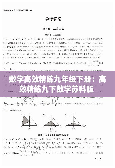 数学高效精练九年级下册：高效精练九下数学苏科版 