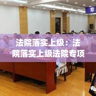 法院落实上级：法院落实上级法院专项督察的汇报材料 