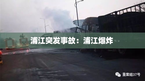 浦江突发事故：浦江爆炸 