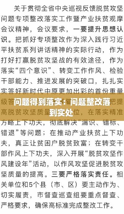 问题得到落实：问题整改落到实处 