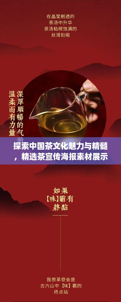 探索中国茶文化魅力与精髓，精选茶宣传海报素材展示