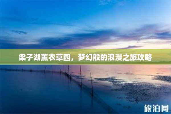 梁子湖薰衣草园，梦幻般的浪漫之旅攻略