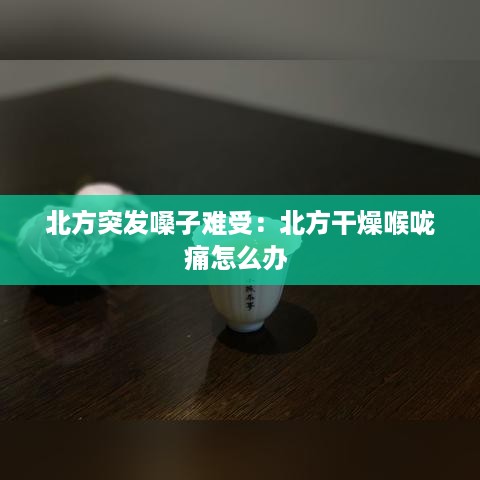 北方突发嗓子难受：北方干燥喉咙痛怎么办 