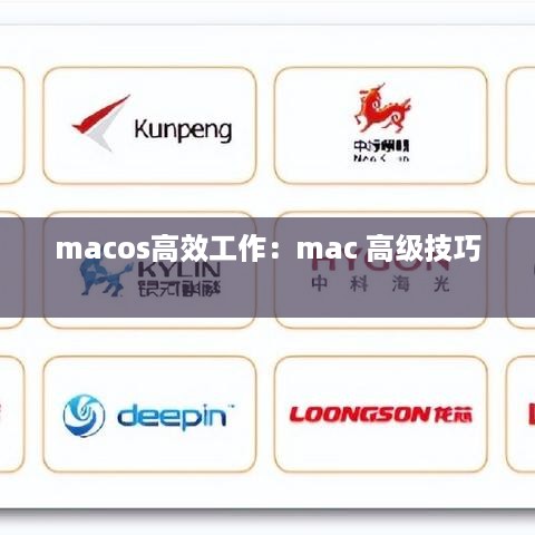 macos高效工作：mac 高级技巧 